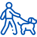 犬の散歩（散歩代行）